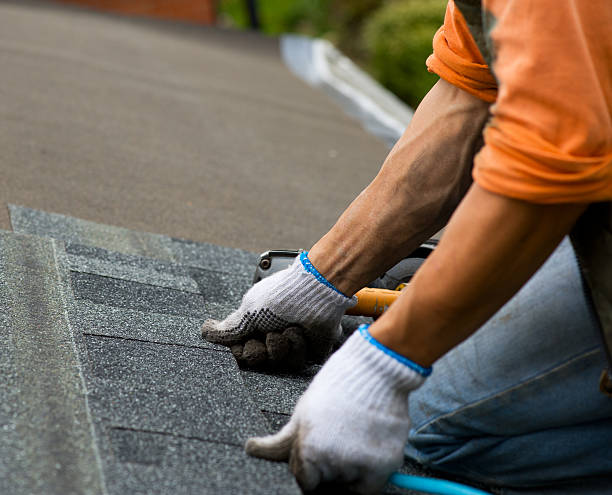Best Storm Damage Roof Repair  in Paramus, NJ